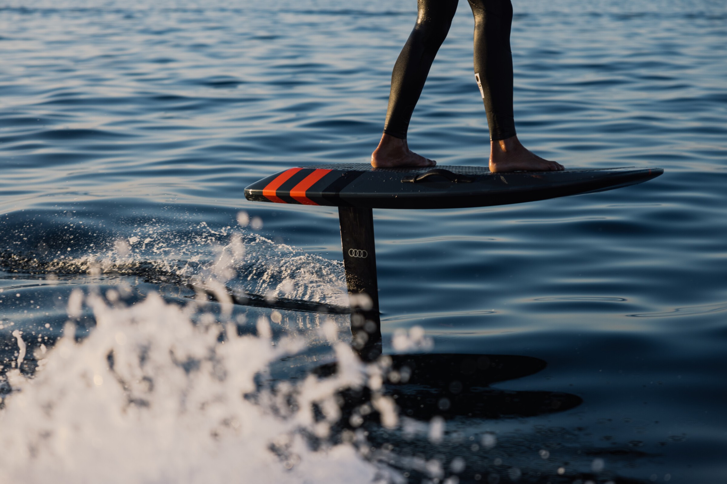 AUDI by Stephie Braun