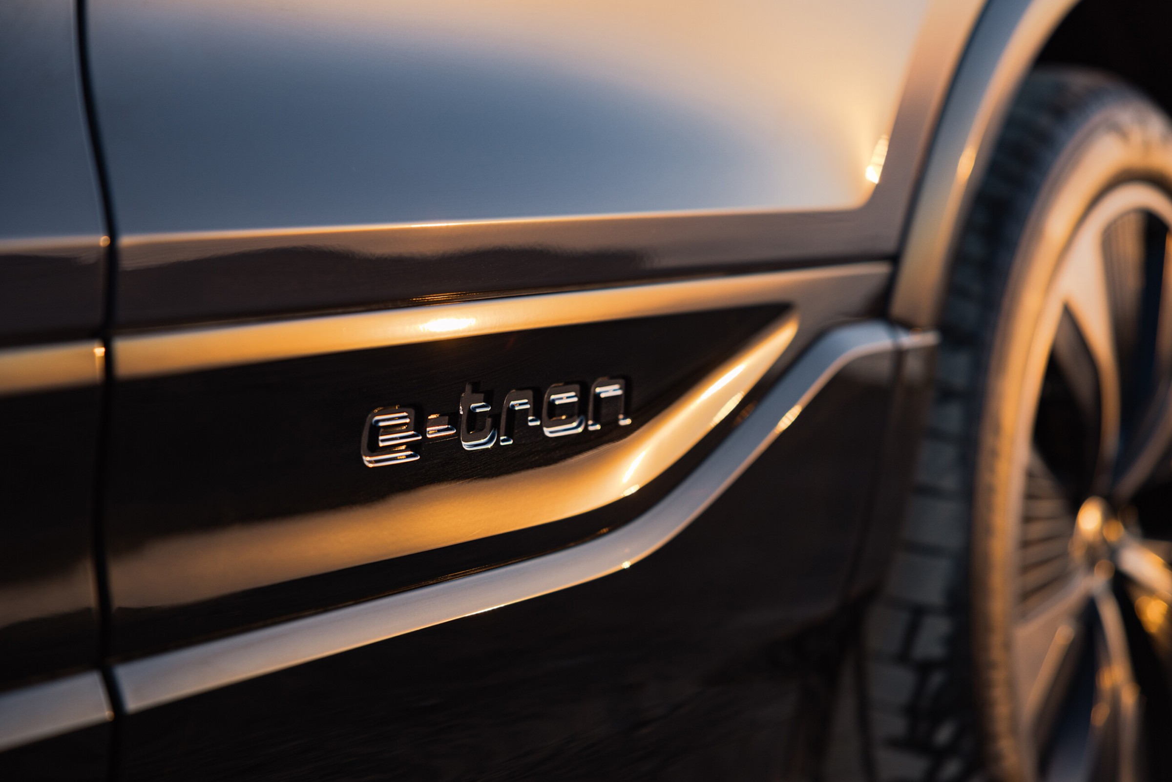 AUDI by Stephie Braun