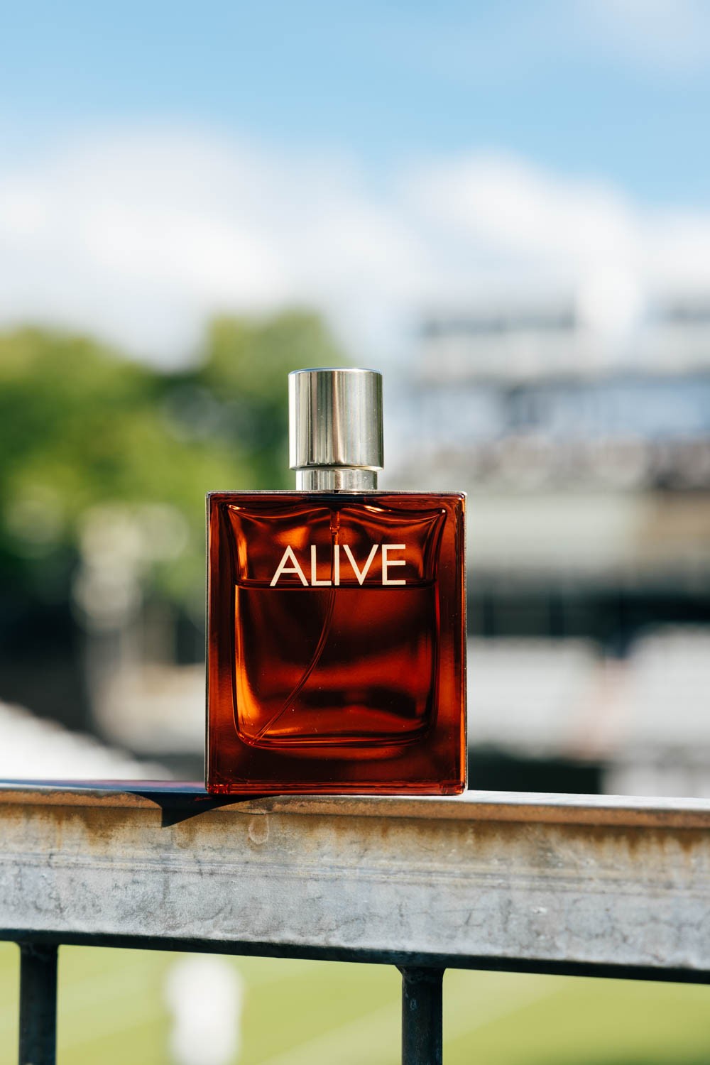 BOSS by Stephie Braun