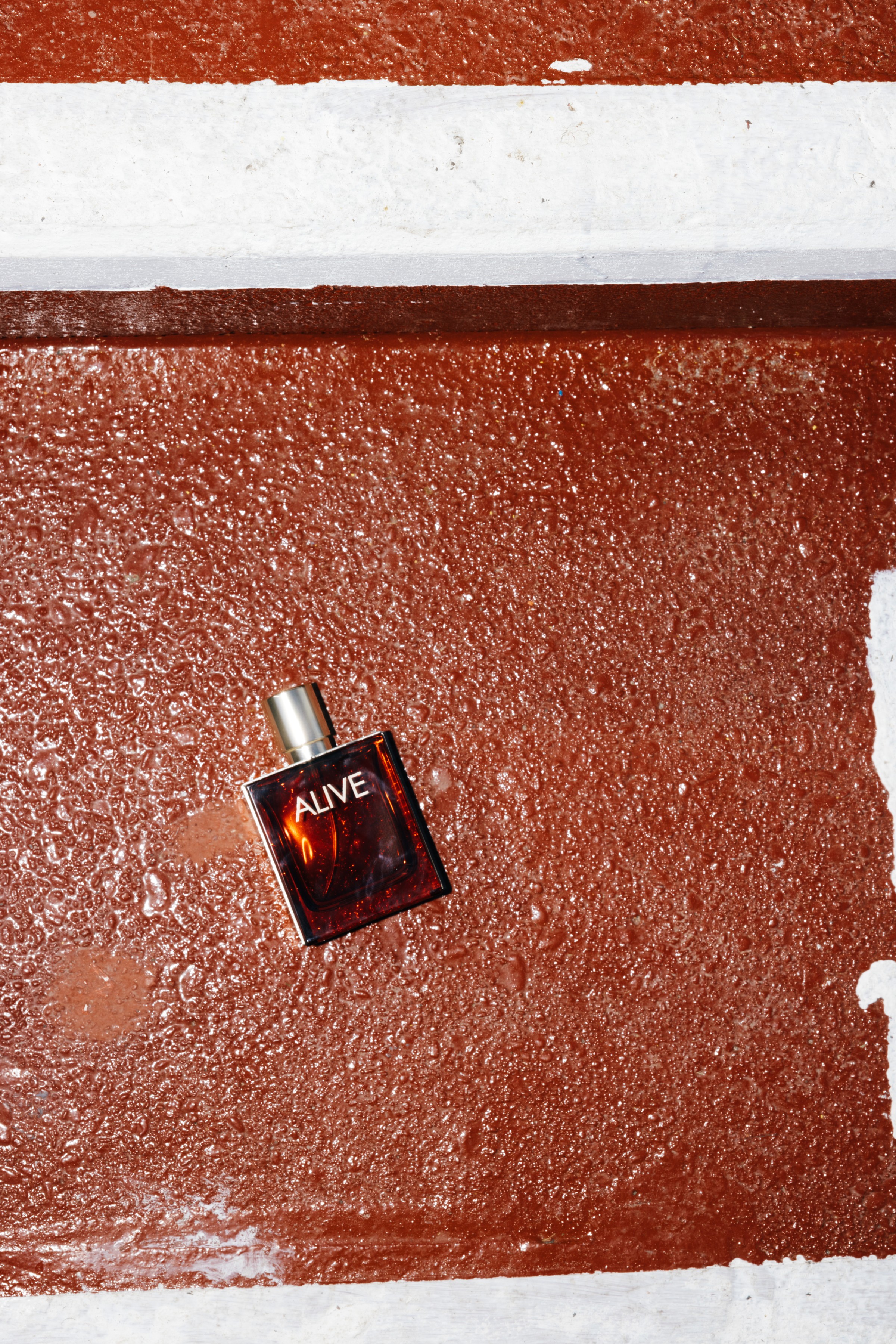 BOSS by Stephie Braun