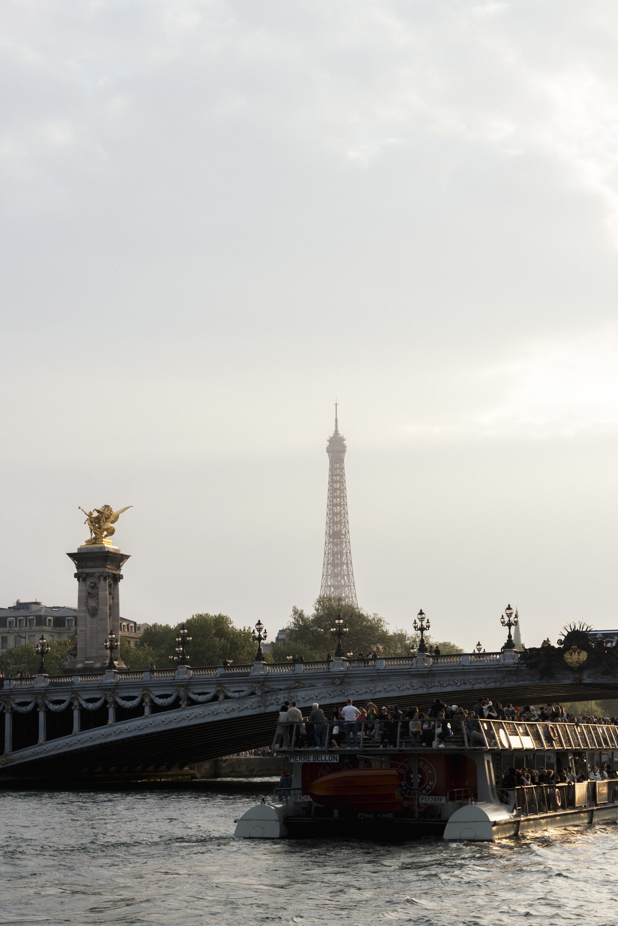 Dr. Emi Arpa Skin by Stephie Braun