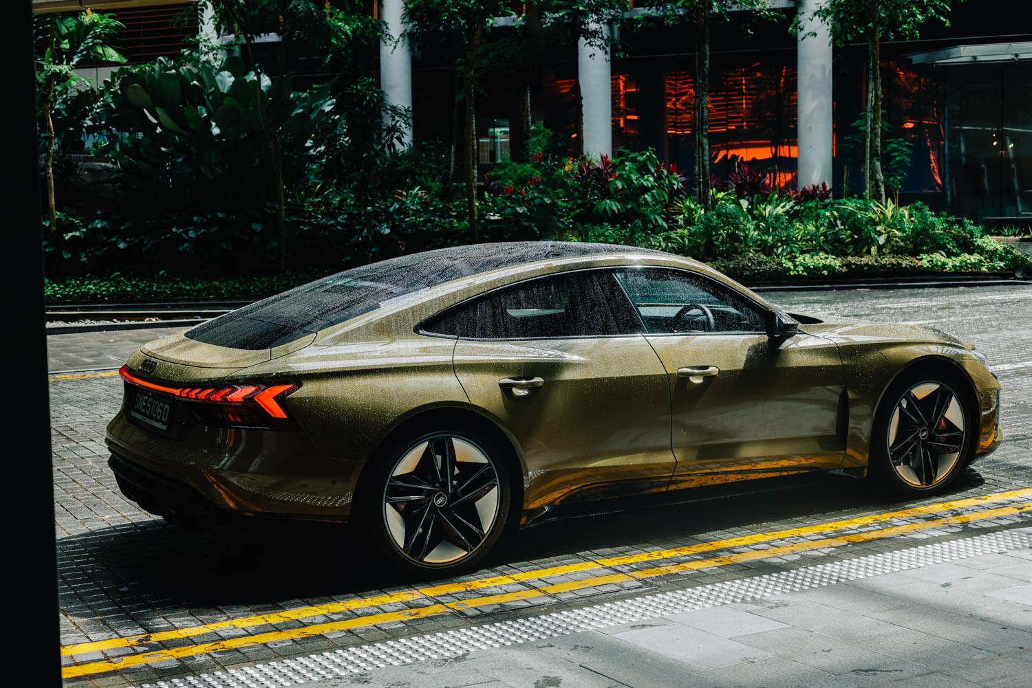 FCB AUDI by Stephie Braun