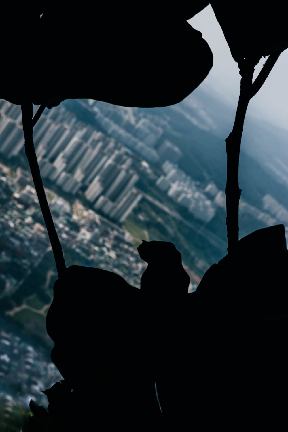 FCB AUDI by Stephie Braun