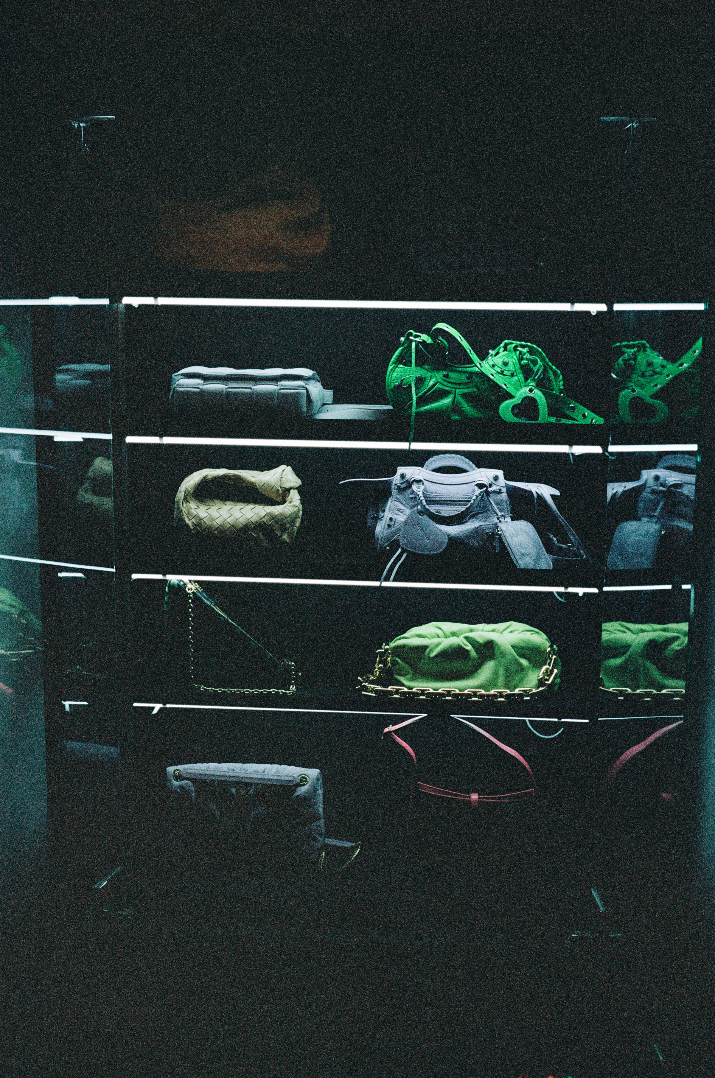 FOBE by Stephie Braun