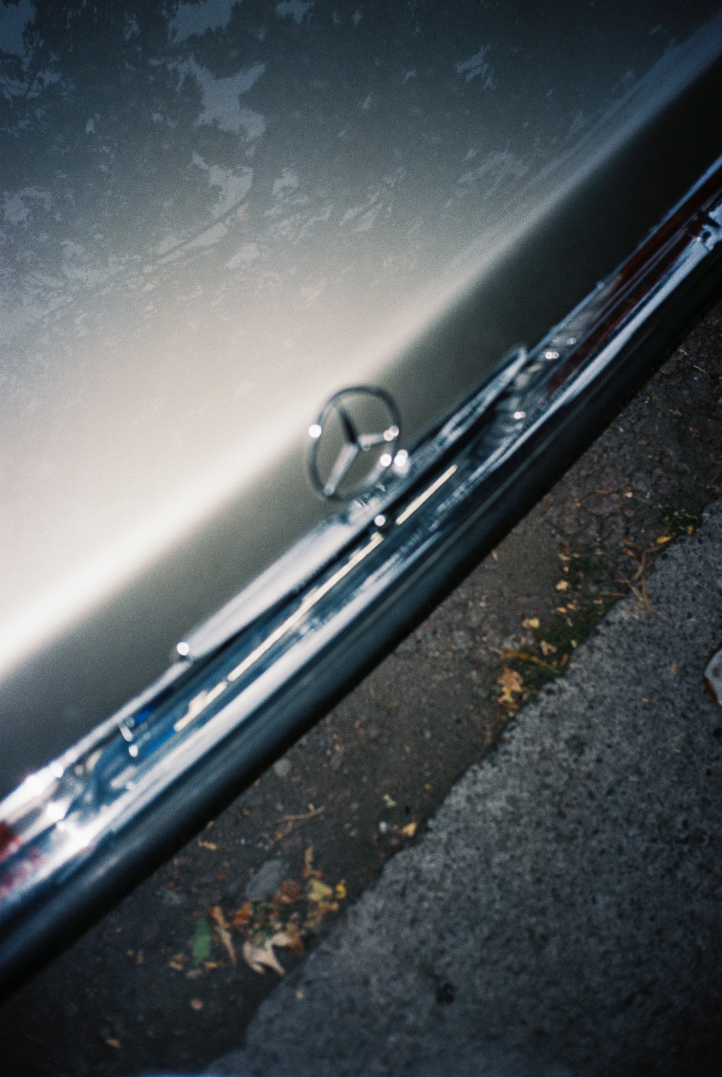 Mercedes Stefanie Giesinger by Stephie Braun