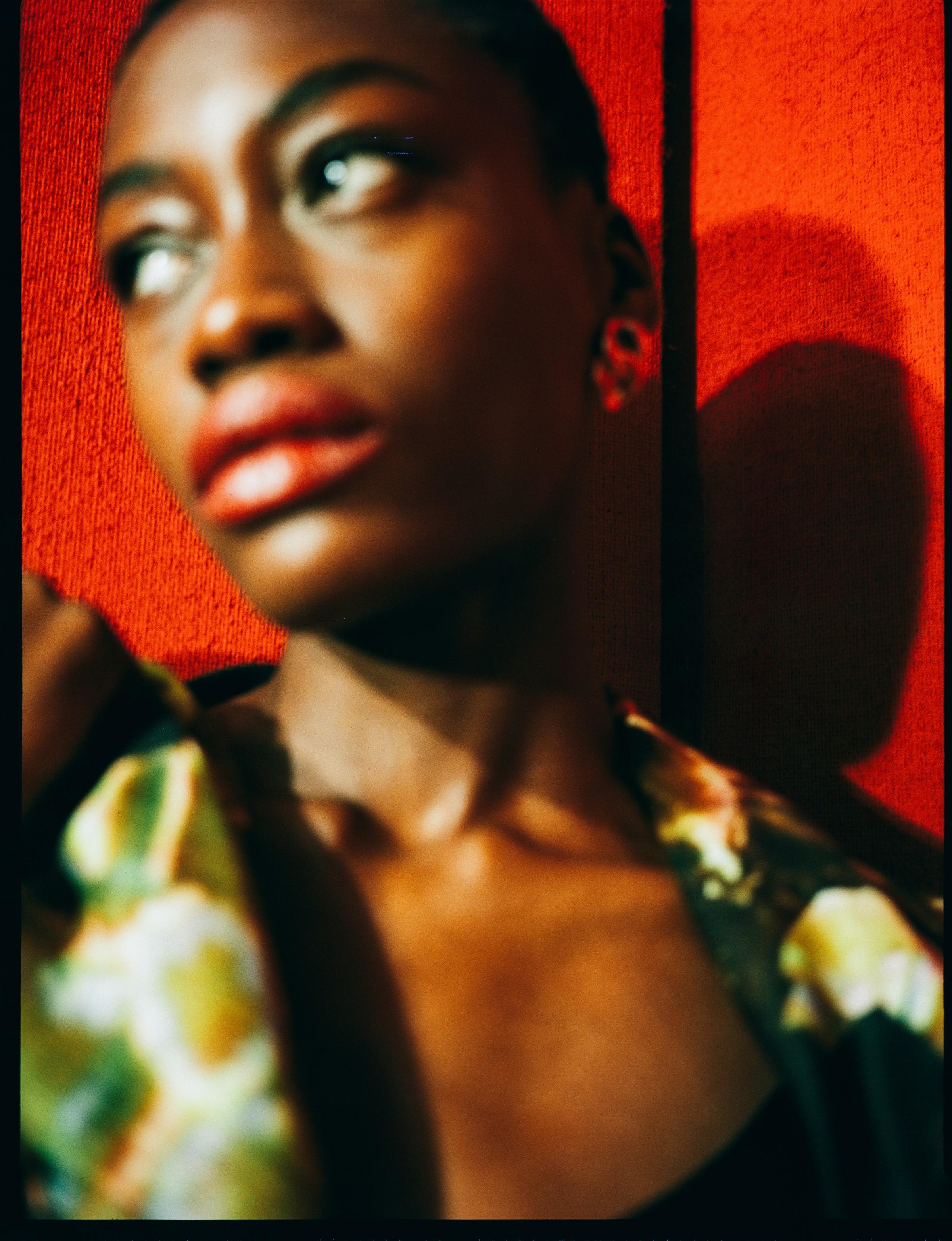 Talking Walls by Stephie Braun