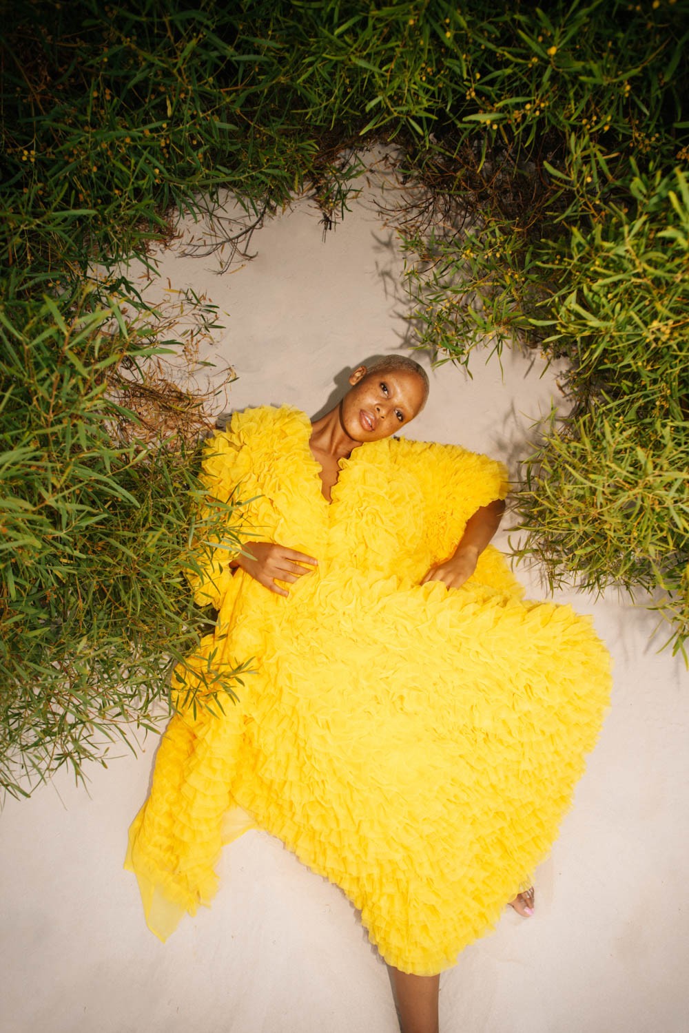 Personal Project #3 by Stephie Braun