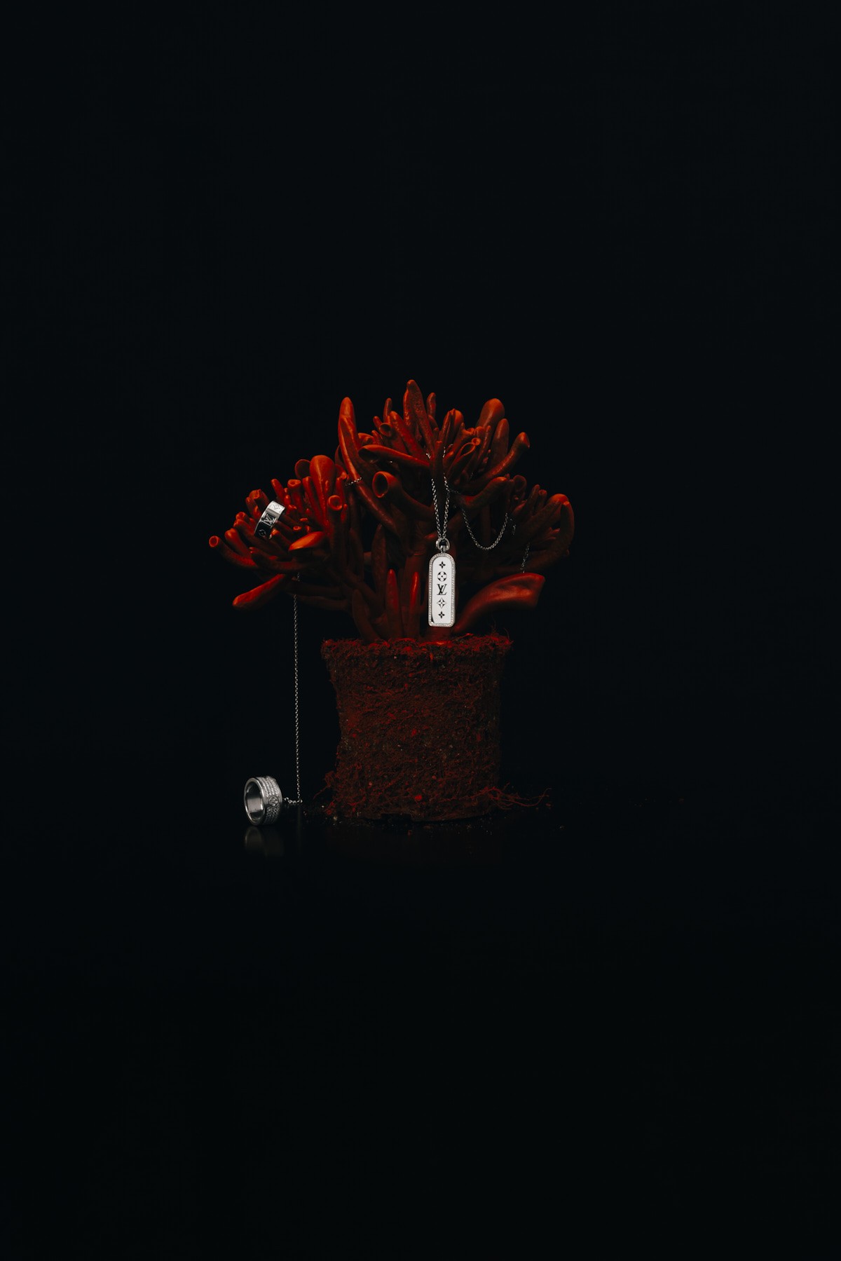 FACES Magazine Louis Vuitton by Stephie Braun