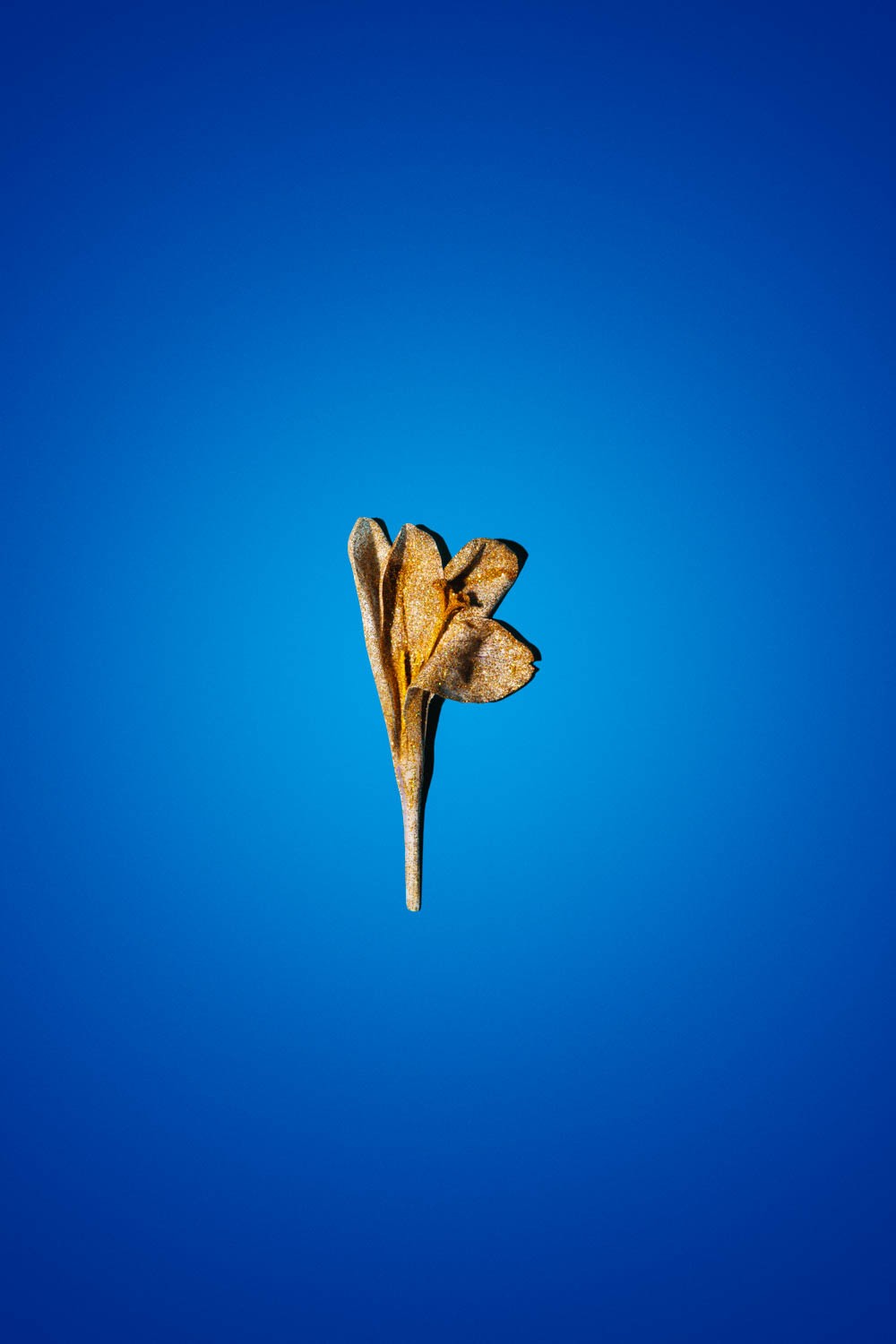 Personal Project #2 by Stephie Braun