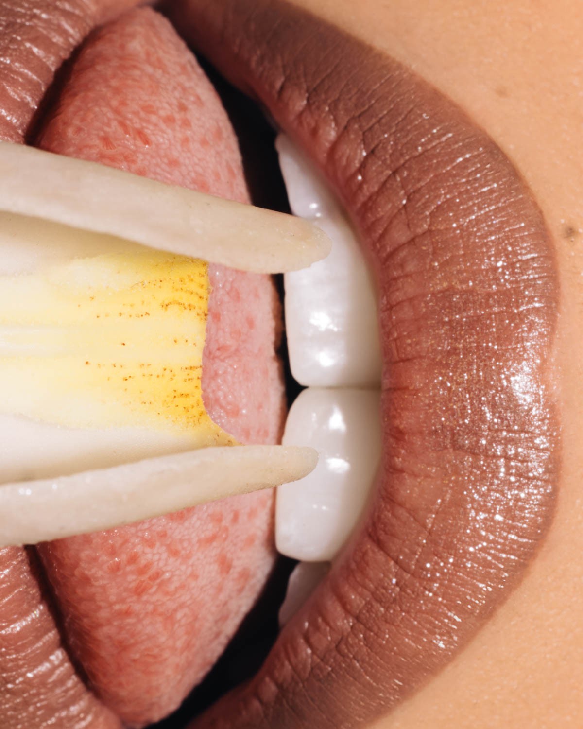 SICKY Magazine by Stephie Braun