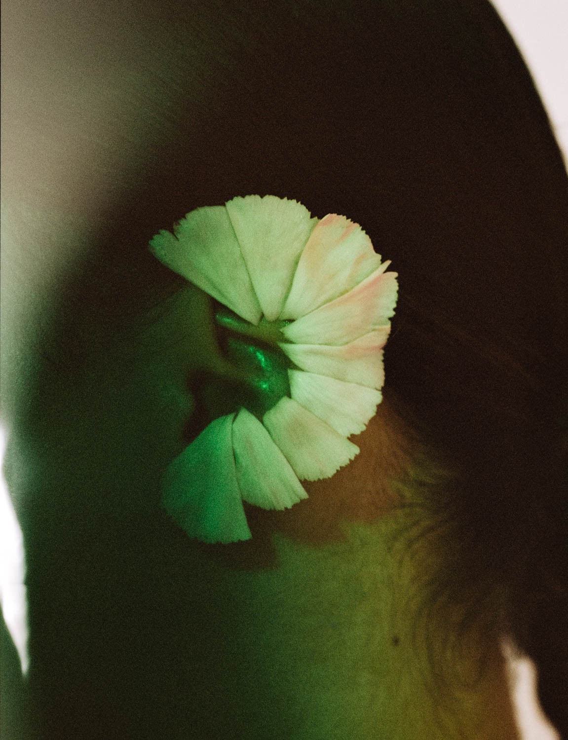 SICKY Magazine by Stephie Braun