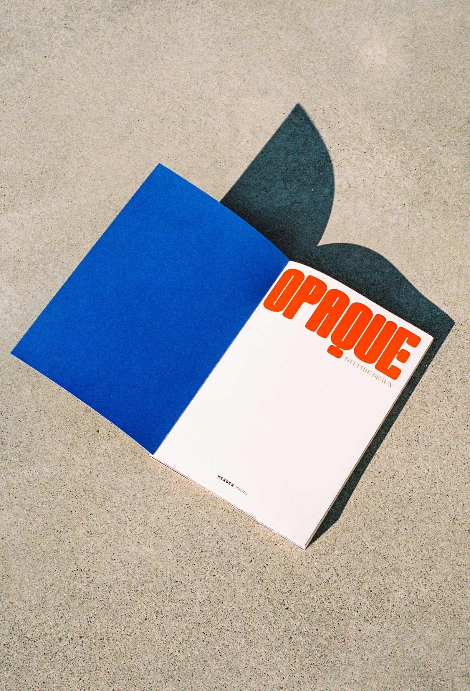 OPAQUE by Stephie Braun