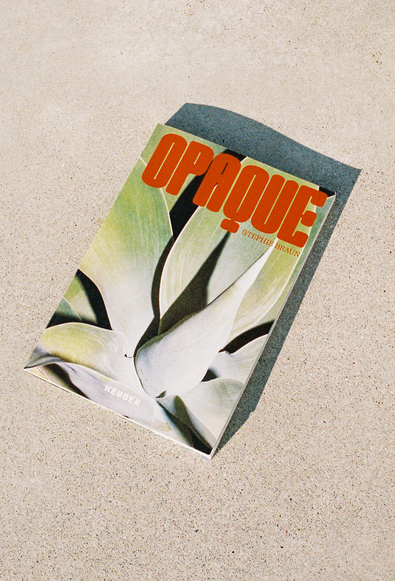 OPAQUE by Stephie Braun